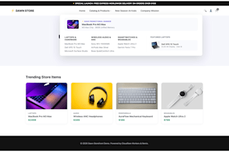build custom shopify app, theme extension, or remix web application