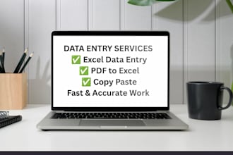 do data entry, copy paste, PDF to word, excel data entry