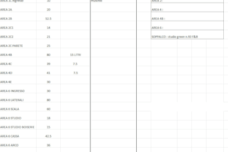 be your organized virtual assistant for back office tasks