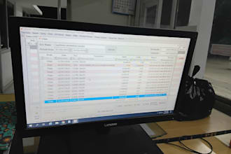 be your expert data entry and logistics operations manager