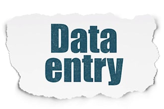 provide data entry services
