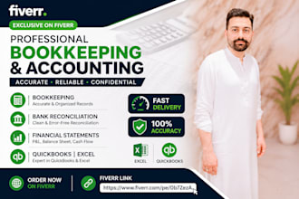 do professional bookkeeping, accounting, bank reconciliation, and financial stat