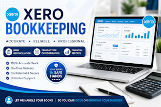 do professional xero bookkeeping, bank reconciliation and financial repor