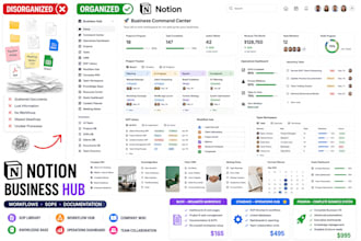 organize your business in notion with workflows and documentation