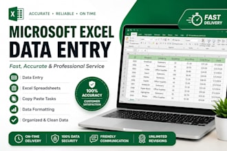 do microsoft excel data entry and spreadsheets