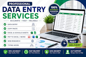 do data entry, copy paste, excel and web reserch