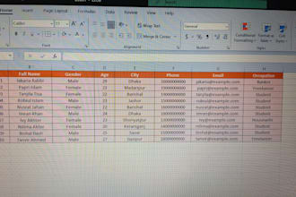 do data entry, copy typing and handwritten notes to word