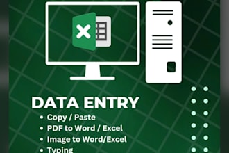 do professional data entry and excel data processing