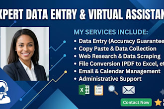 do professional  data entry and virtual assistant task