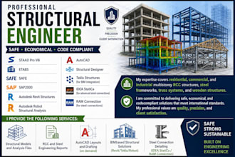 analyse and design the structure with structural software