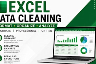 clean, organize, and format excel spreadsheets