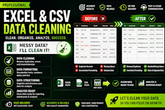 clean format and organize excel or CSV data