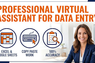 be your virtual assistant for data entry and copy paste