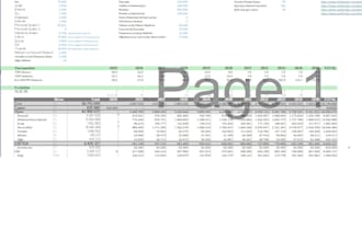 prepare feasibility studies for new business