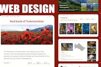 do UI and UX  design for website