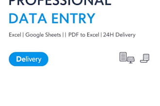 accurate data entry and excel work