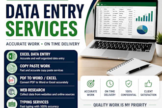 do accurate data entry ,copy paste , web research and excel data entry