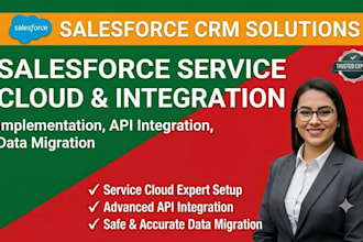 do salesforce implementation api integration data migration service cloud