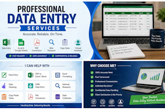 do professional data entry, excel work, web research, copy paste and PDF