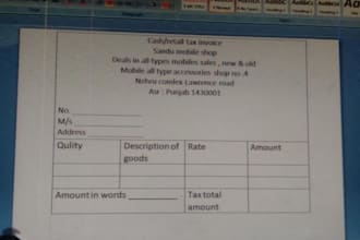 do accurate data entry, microsoft excel, microsoft word and copy typing