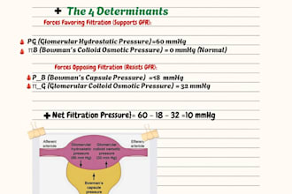 create medical study notes, infographics and visual guides