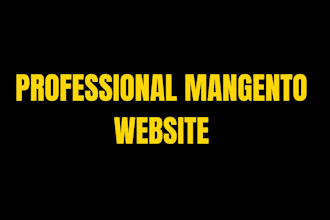 create a professional magento 2 ecommerce website