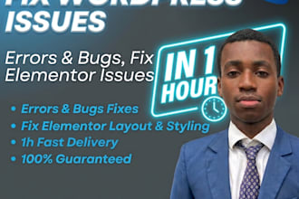 fix wordpress issues, wordpress errors, and bugs urgently
