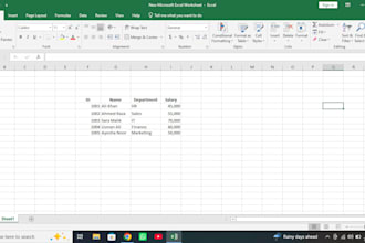 do data entry at profissional level