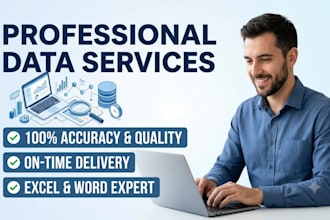 do professional data entry, web reseach and copy paste tasks