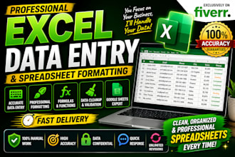 excel data entry, spreadsheet formatting, formulas and data cleanup
