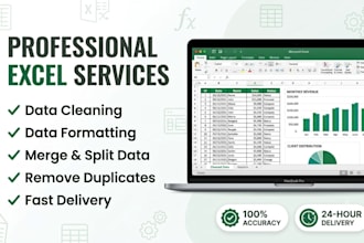 clean, format, merge, split, and organize excel data