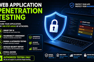 perform professional web application penetration testing