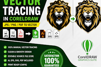 manually vector trace, redraw logo in coreldraw