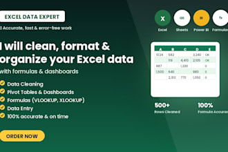 clean and format your excel data with formulas and dashboard