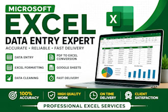 do microsoft excel data entry, cleaning and spreadsheets