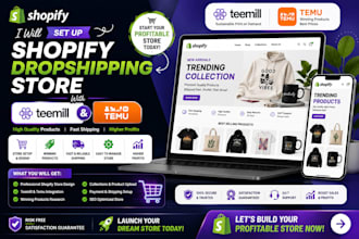 design set up shopify dropshipping store with teemill temu