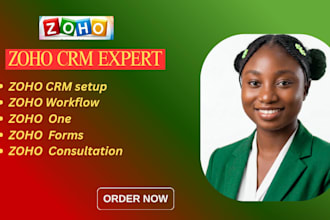 setup or automate zoho CRM, zoho one, zoho form and campaign