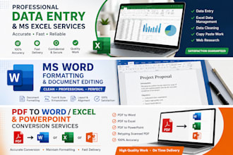provide professional microsoft office and data entry