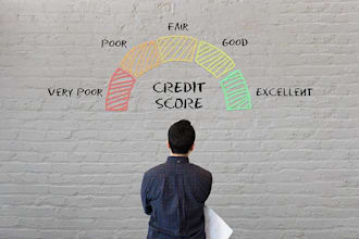 remove inquiries, collections, charge offs, late payments, credit score