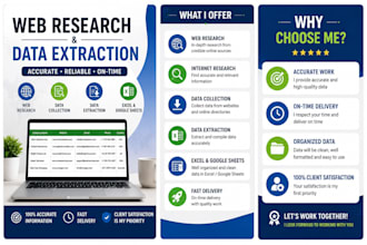 expert web research and accurate data extraction