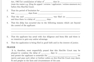 draft professional legal documents and contracts
