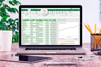 haré entrada de datos profesional y limpieza en excel
