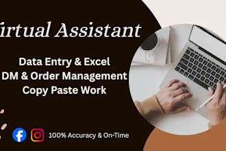 be your virtual assistant for data entry, copy paste, and dm management