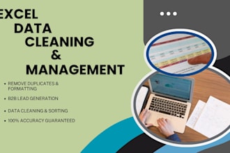 do professional excel data cleaning, sorting, and b2b lead generation