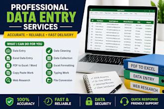 do accurate data entry, PDF to excel, copy paste, web research