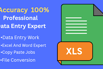 do professional data entry and typing work