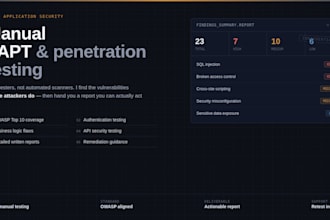 perform web application penetration testing