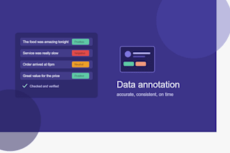 do accurate data annotation and labeling for you