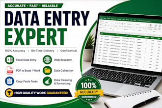 do accurate and fast data entry in excel and google sheets