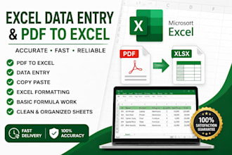 do excel data entry,PDF to excel,and spreadsheet tasks